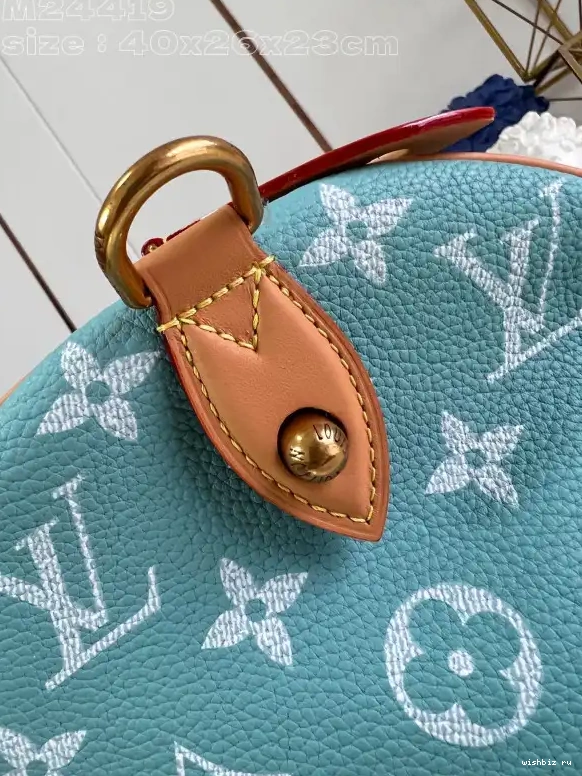 WIS SPEEDY Louis Vuitton 40 0704